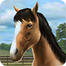 poster for My Horse