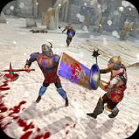 poster for Vikings Fight: North Arena