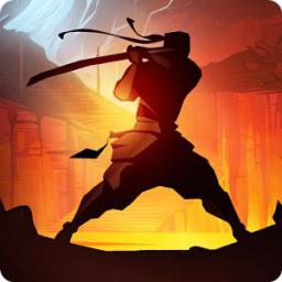 poster for Shadow Fight 2