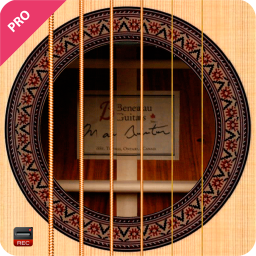 poster for Learn Guitar with Simulator
