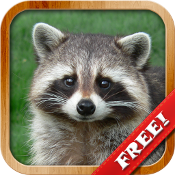 poster for Animals for Kids, Planet Earth Animal Sounds