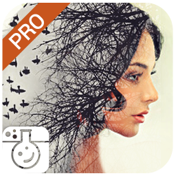 logo for Photo Lab PRO Picture Editor: effects, blur & art