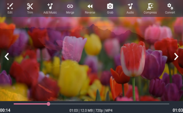 screenshoot for AndroVid - Video Editor, Video Maker, Photo Editor
