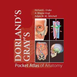 poster for Dorland’s Gray’s Pocket Atlas of Anatomy