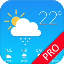 poster for Borneh Studio Weather Forecast Pro