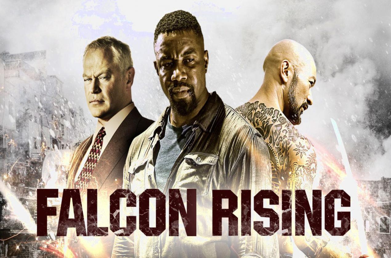 falcon rising