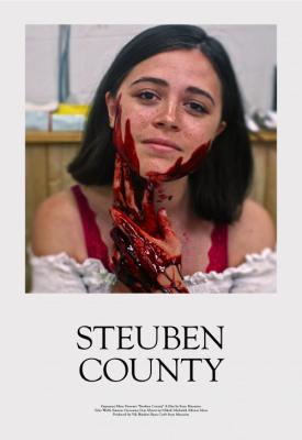 poster for Steuben County 2020