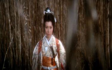screenshoot for Lone Wolf and Cub: White Heaven in Hell