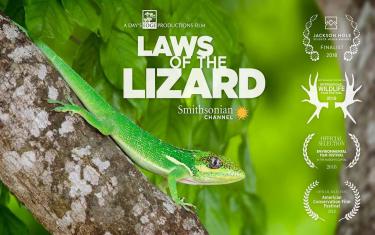 screenshoot for Laws of the Lizard