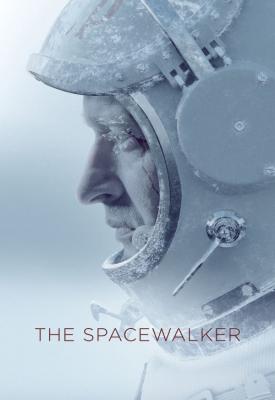 poster for Spacewalk 2017