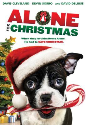 image for  Alone for Christmas movie