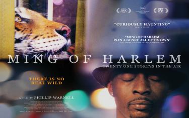 screenshoot for Ming of Harlem: Twenty One Storeys in the Air