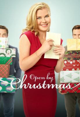 image for  Open by Christmas movie