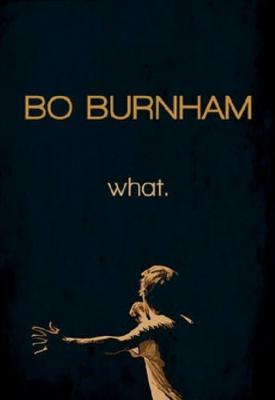 poster for Bo Burnham: what. 2013