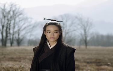 The Assassin 2015 720P free download & watch with subtitles - WorldSrc