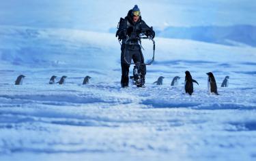 screenshoot for Penguins: Life on the Edge