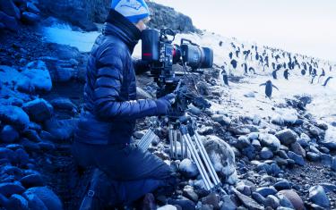 screenshoot for Penguins: Life on the Edge