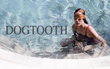 screenshoot for Dogtooth