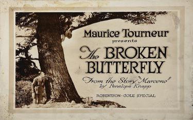 screenshoot for The Broken Butterfly