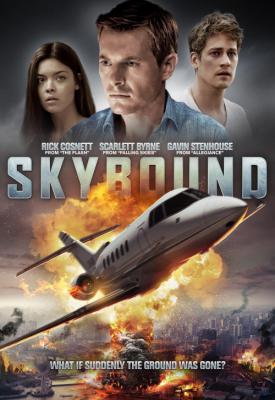 poster for Skybound 2017