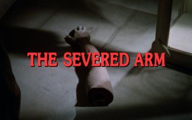 screenshoot for The Severed Arm