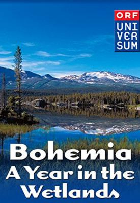 poster for Bohemia: A Year in the Wetlands 2011