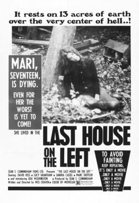 image for  The Last House on the Left movie