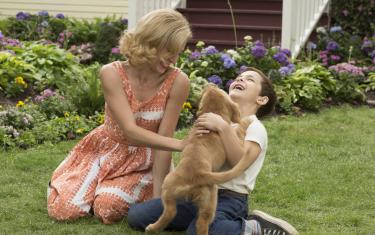 screenshoot for A Dogs Purpose