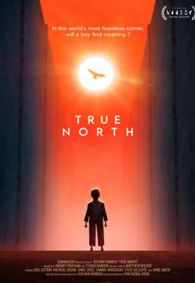 image for  True North movie