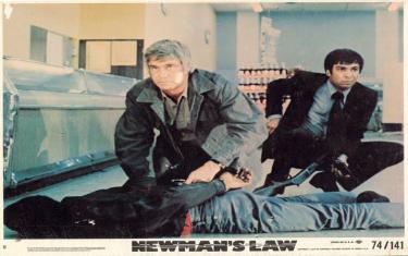 screenshoot for Newman’s Law