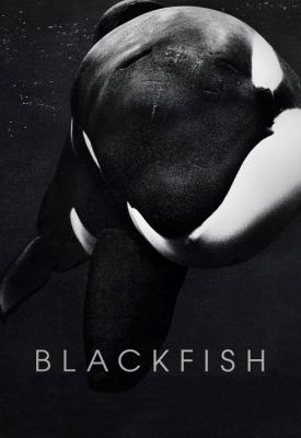 image for  Blackfish movie