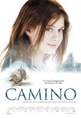 poster for Camino 2008