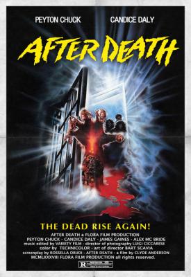 poster for After Death 1989