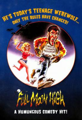 poster for Full Moon High 1981