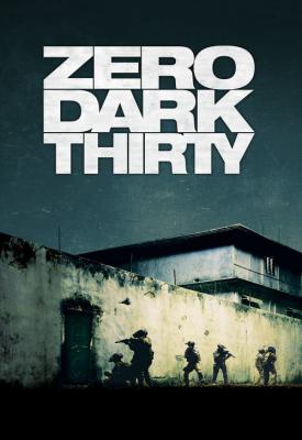 image for  Zero Dark Thirty movie