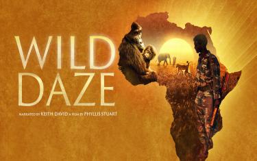 screenshoot for Wild Daze