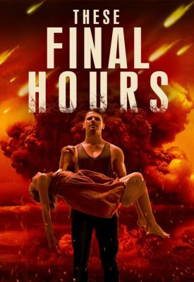 poster for These Final Hours 2013