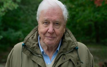 screenshoot for David Attenborough: A Life on Our Planet