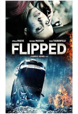 image for  Flipped movie