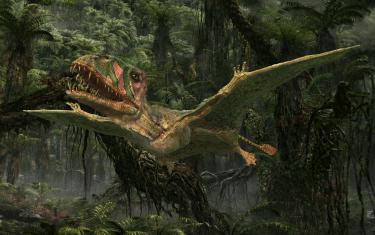 screenshoot for Flying Monsters 3D with David Attenborough
