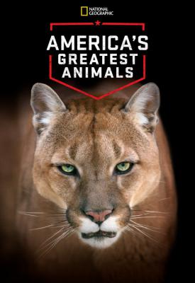 poster for America’s Greatest Animals 2012