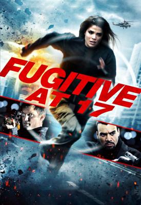 poster for Fugitive at 17 2012