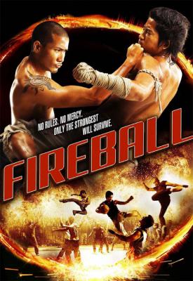 poster for Fireball 2009