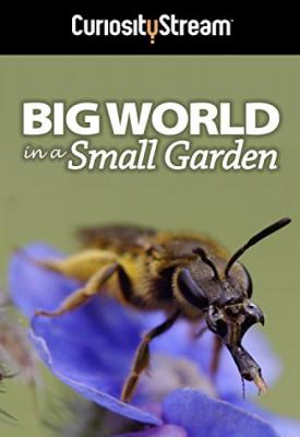poster for Big World in a Small Garden 2016