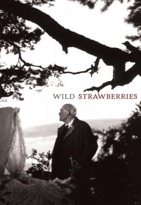 poster for Wild Strawberries 1957