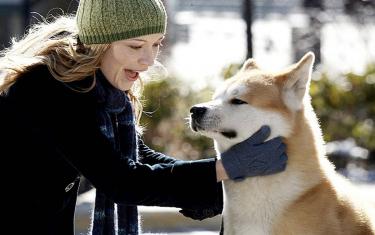 screenshoot for Hachi: A Dogs Tale