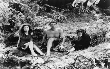 screenshoot for Tarzan the Ape Man