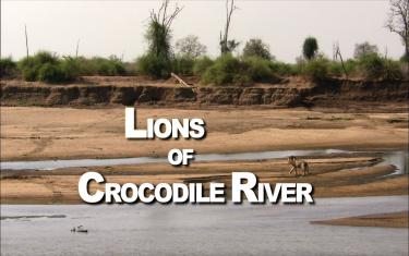 screenshoot for Lions of Crocodile River