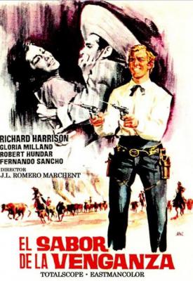 poster for Sons of Vengeance 1964