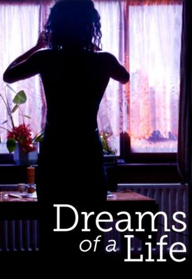 poster for Dreams of a Life 2011